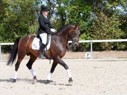 IMG_8028_web